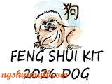 Feng Shui Kit 2026 for Dog