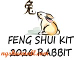 Feng Shui Kit 2026 for Rabbit